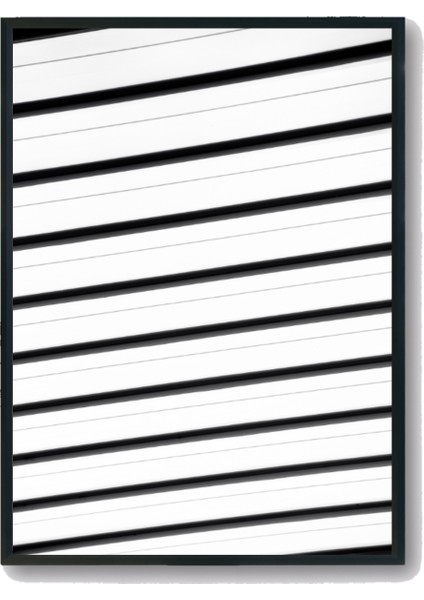 Zebra Temalı Siyah Beyaz 5'li Tablo Seti