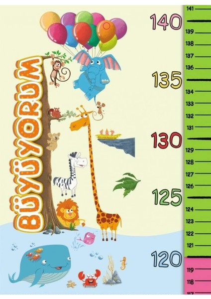 Büyüyorum Boy Cetveli