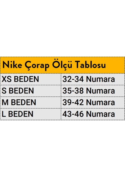 Everyday Cushioned Çorap