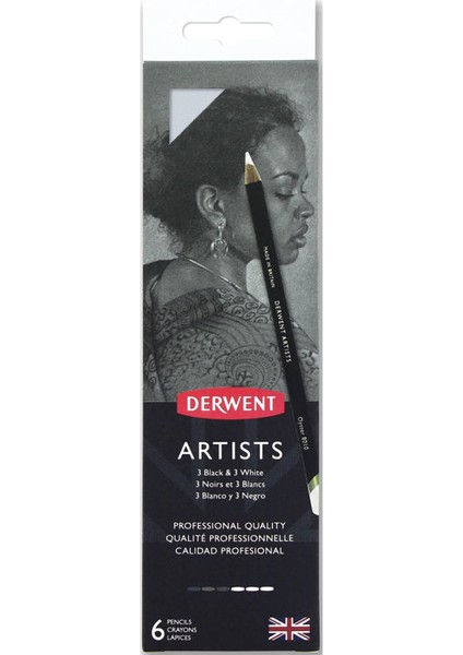 Artists Pencils Kuruboya Kalemi 6'lı Teneke Kutu (Siyah ve Beyaz Tonları)