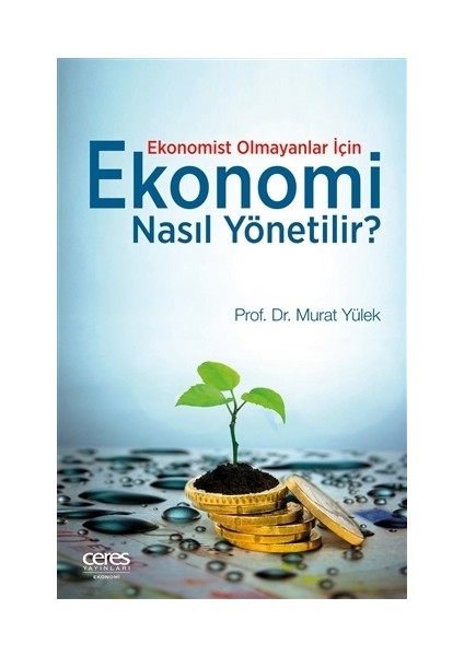 Ekonomist Olmayanlar İçin Ekonomi Nasıl Yönetilir?