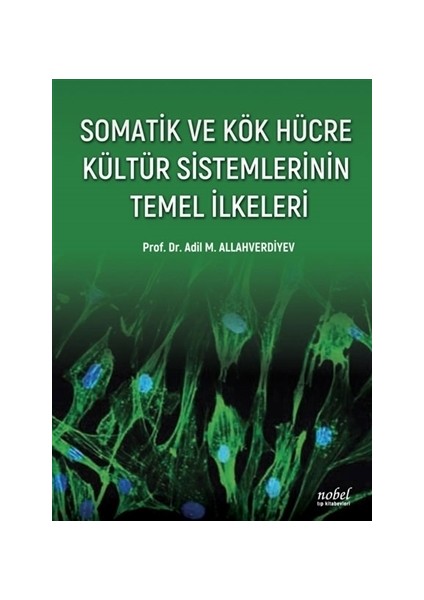 Somatik ve Kök Hücre Kültür Sistemlerinin Temel İlkeleri