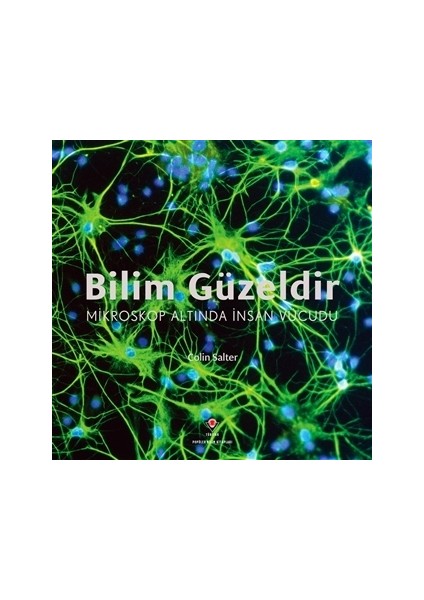 Bilim Güzeldir - Mikroskop Altında İnsan Vücudu