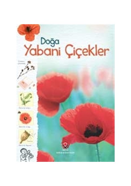 Doğa - Yabani Çiçekler