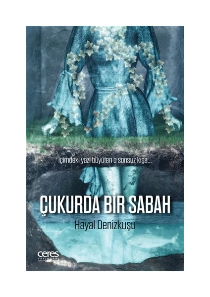 Çukurda Bir Sabah - Hayal Denizkuşu