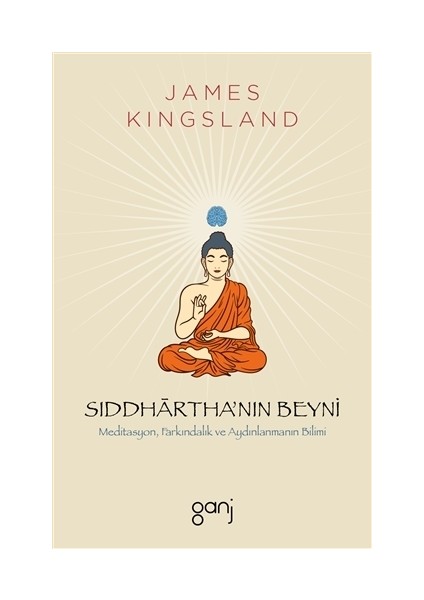 Siddhartha’nın Beyni