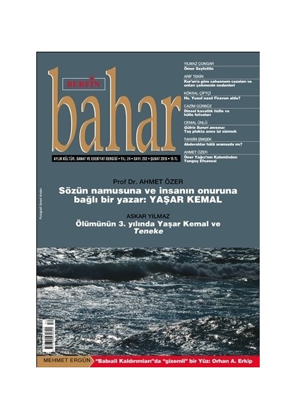 Aylık Kültür Sanat ve Edebiyat Dergisi Sayı: 252 Şubat 2019