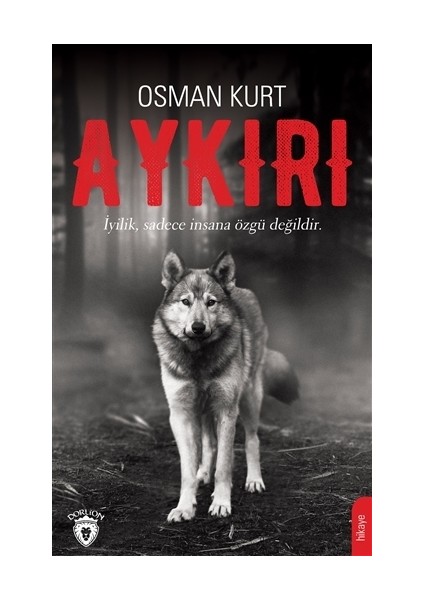 Aykırı