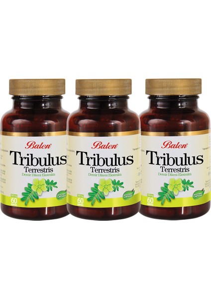 Tribulus Terrestris Demir Dikeni 60 Kapsül x 3 Adet