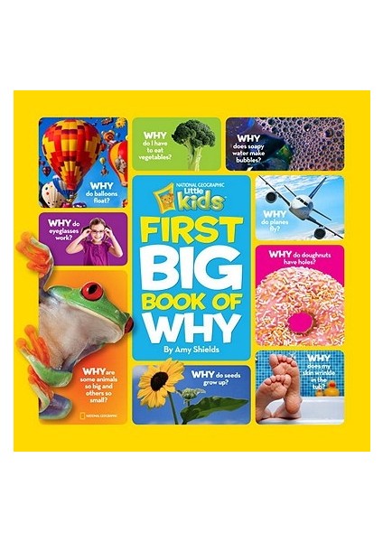 National Geographic Little Kids First Big Book Of Why