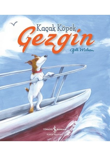 Kaçak Köpek Gezgin - Gill Mclean