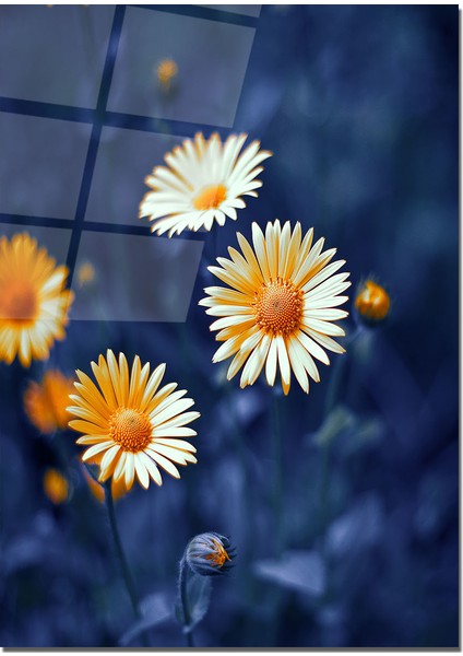 Cam Tablo Çiçekli Tablo 50 x 70 cm Uv Baskı Temperli