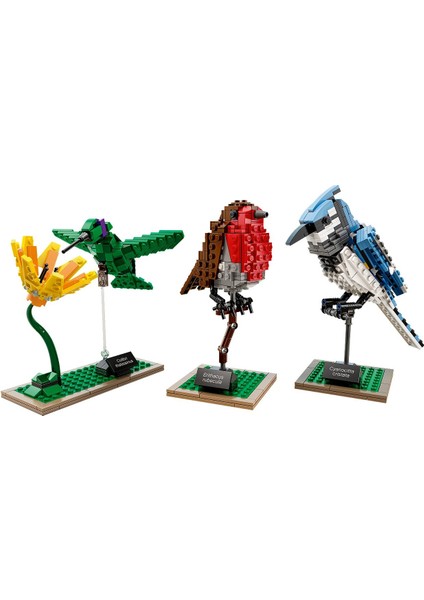 Ideas 21301 - Kuşlar