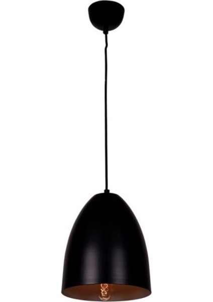 Metal Siyah Içi Beyaz Sarkıt Çap 20 cm
