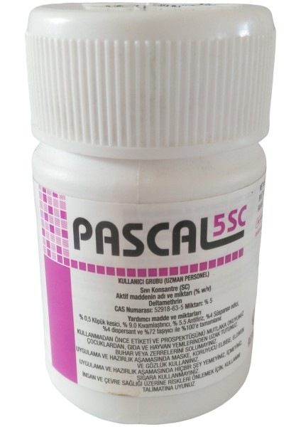 Pascal 5 Sc