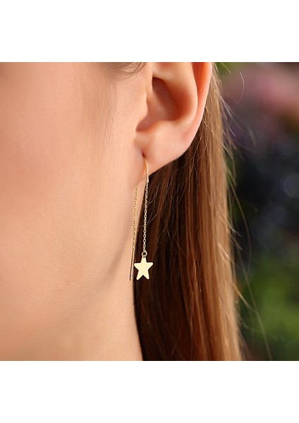 Altın Yıldız Küpe fiyatları