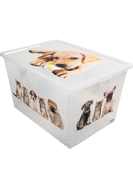 Light Box Cats And Dogs 50 Litre