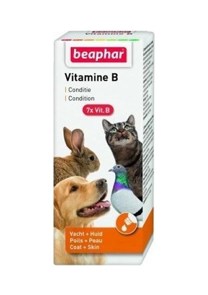 Kedi Köpek Kuş Için B Vitamini