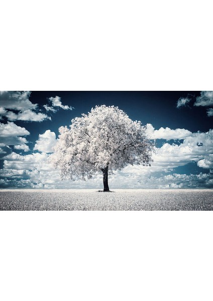 72mm Ir Infrared Kızılötesi 720 nm Filtre