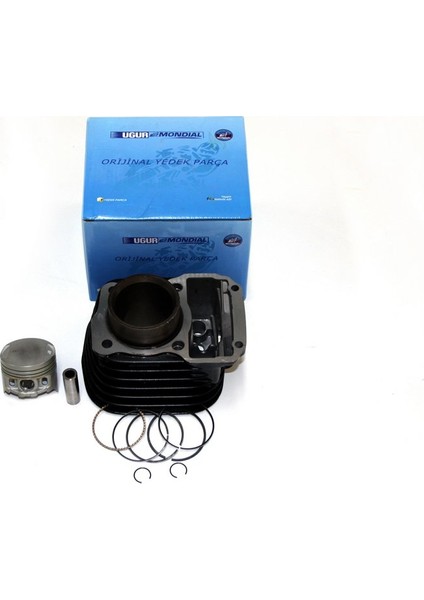 100 Mg Prince Silindir Komple