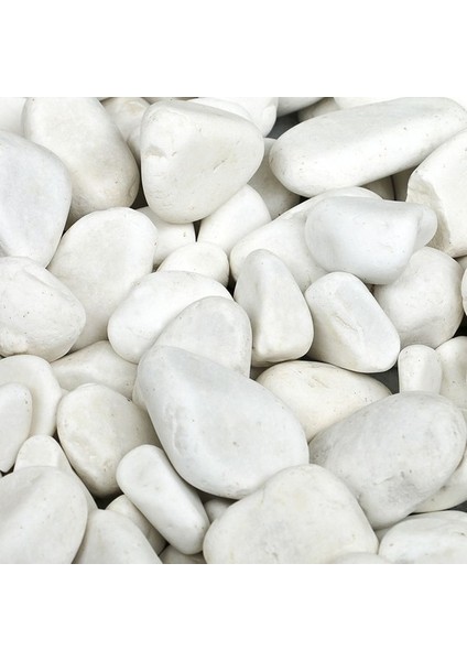 Dolomite Doğal Dekoratif Taş 4 - 6 cm 25 kg