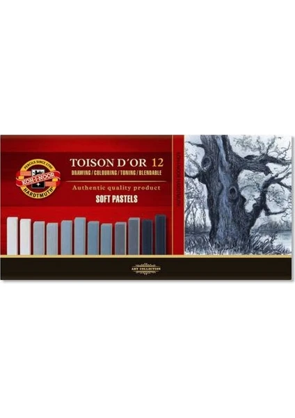 Koh-I Noor Toison D'or Soft Pastel Boya (Toz Pastel Boya) Gri Tonlar 12 Renk (Köşeli)