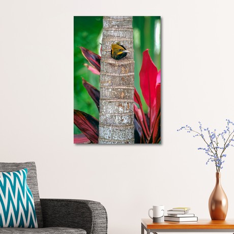 Cocuklarin Hayallerine Yaklasamayiz Agackakan Mobilya Ve Egitim Araclari Facebook