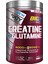 Bigjoy Sports Big2 Creatine Glutamin 505g 2