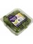 Salata Maskolin 1