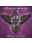 Apocalyptica ‎– Worlds Collide CD 1