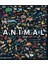 Animal: Exploring The Zoological World - Phaidon 1