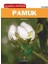 Geçmişten Günümüze - Pamuk 1