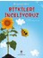 Bitkileri İnceliyoruz - Origamiyle Bilim 1