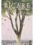 Biçare 1