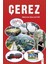 Çerez 1