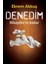 Denedim 1