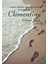 Clementine 1