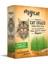 Mycat Doğal Kedi Çimi 1