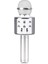 EVR KRK 02 Karaoke Mikrofon Silver 1