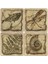 Doğaltaş Bardak Altlığı 4'lü Set 10 x 10 cm 1