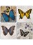 Doğaltaş Bardak Altlığı 4'lü Set 10 x 10 cm 1