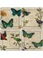 Doğaltaş Bardak Altlığı 4'lü Set 10 x 10 cm 1