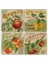Doğaltaş Bardak Altlığı 4'lü Set 10 x 10 cm 1