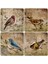 Doğaltaş Bardak Altlığı 4'lü Set 10 x 10 cm 1