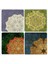 Doğaltaş Bardak Altlığı - 4'lü Set 10 x 10 cm 1