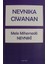 Neynika Ciwanan 1