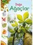 Doğa - Ağaçlar 1