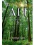 Ali 1