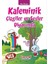 Kaleminik Çizgiler ve Sesler Diyarında 1