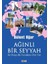 Ağınlı Bir Seyyah 1